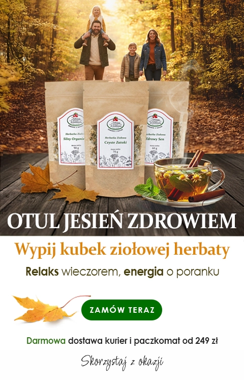 Wsparcie organizmu na jesień.