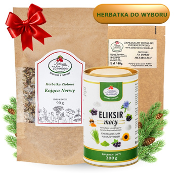 Zestaw ,,Dla Menagera" z herbatką, Eliksirem Mocy i przyprawą ,,Na dobry metabolizm''