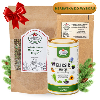 Zestaw ,,Dla Studenta" z herbatką, Eliksirem Mocy i przyprawą ,,Na dobry metabolizm''