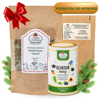 Zestaw ,,Dla Studenta" z herbatką, Eliksirem Mocy i przyprawą ,,Na dobry metabolizm''