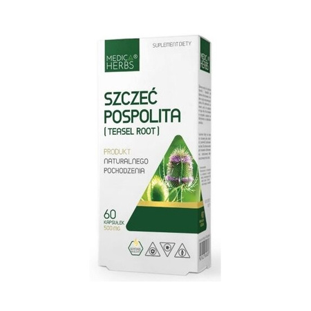 Szczeć Pospolita (Teasel Root) 500 mg, 60 kaps. - Medica Herbs
