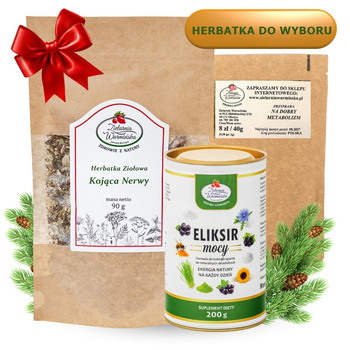 Zestaw ,,Dla Menagera" z herbatką, Eliksirem Mocy i przyprawą ,,Na dobry metabolizm''