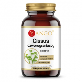 Yango, Cissus czworograniasty, 90 kapsułek